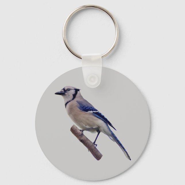 Blue Jay Bird Key Ring (Front)
