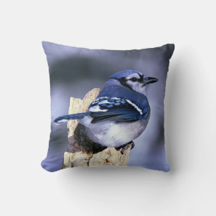 Blue Jay Bird Lovers Cushion