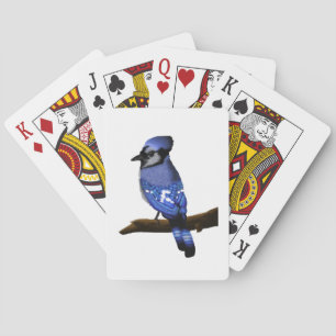 Blue Jay Bird Playing Cards