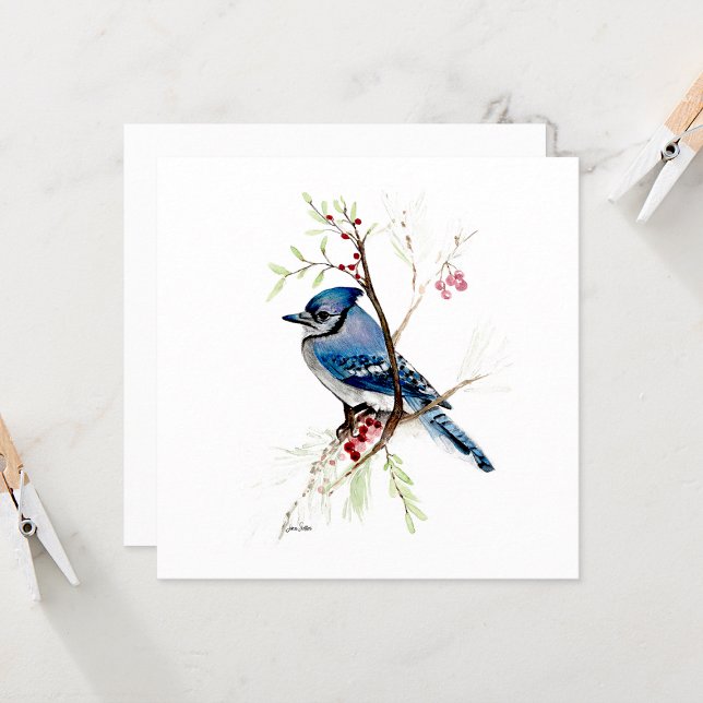 Blue Jay Bird Watercolor (Beutiful Blue Jay Watercolor Note Card from Jenn Steffen Art)