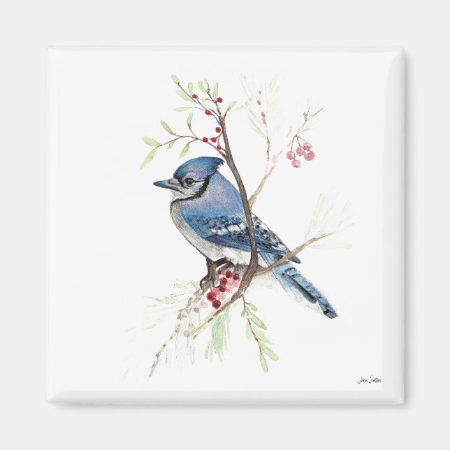 Blue Jay Bird Watercolor Art Magnet (Front)