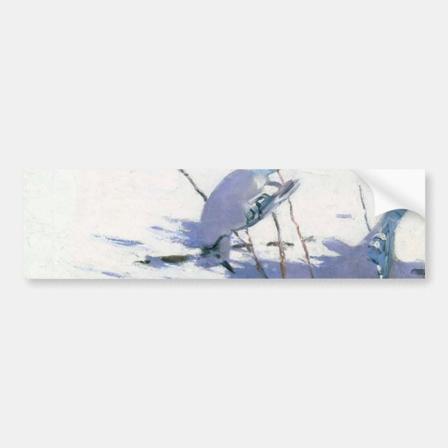 Blue Jay Birds in a Winter Landscape Bumper Sticker (Front)