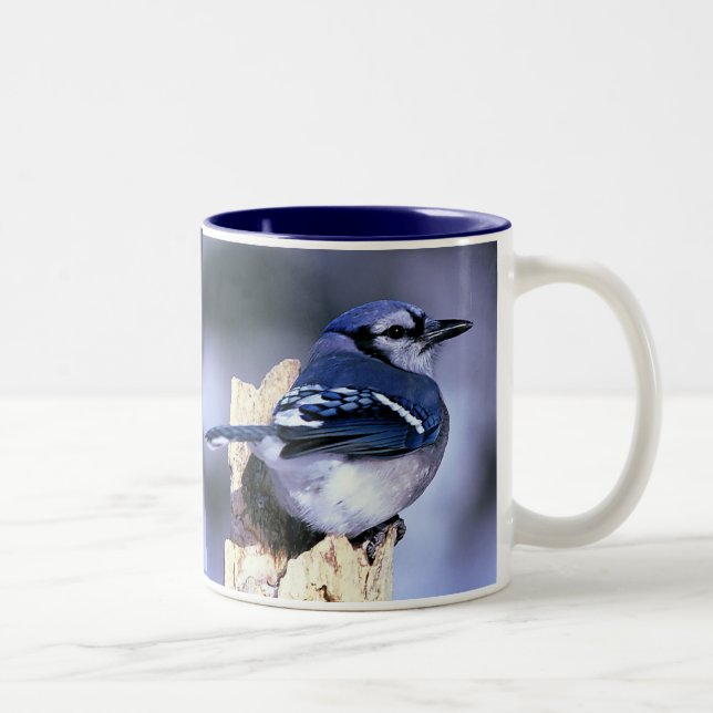 Blue Jay, Blue Jay Two-Tone Coffee Mug (Right)