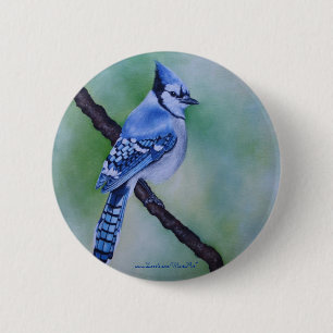 Blue Jay Button