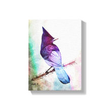 Blue Jay by Aleta