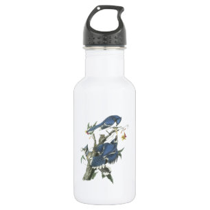 Blue Jay by Audubon 532 Ml Water Bottle