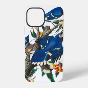 Blue Jay by John James Audubon iPhone 12 Case