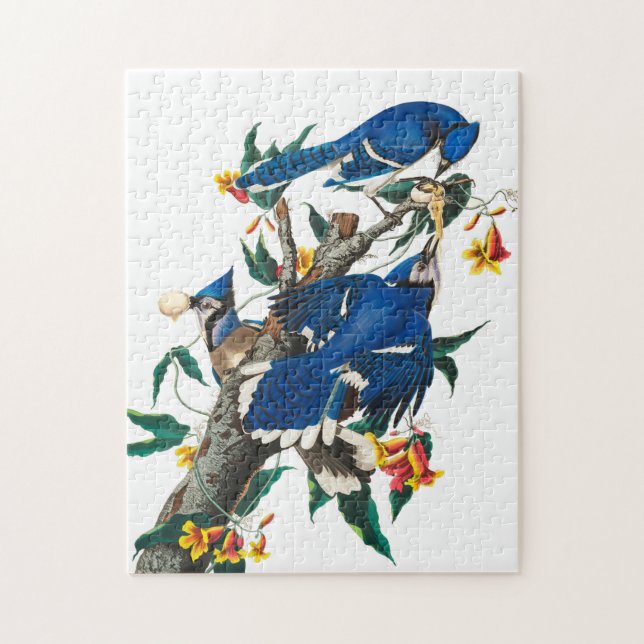 Blue Jay by John James Audubon Jigsaw Puzzle (Vertical)