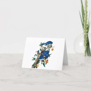 Blue Jay by John James Audubon Thank You Card