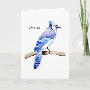 Blue Jay Card