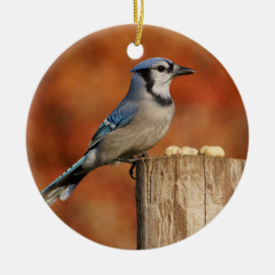 Blue Jay Ceramic Ornament
