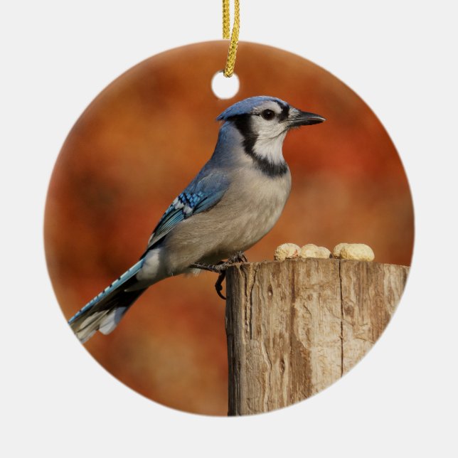 Blue Jay Ceramic Ornament (Front)