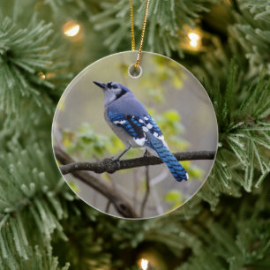 Blue Jay   Ceramic Ornament