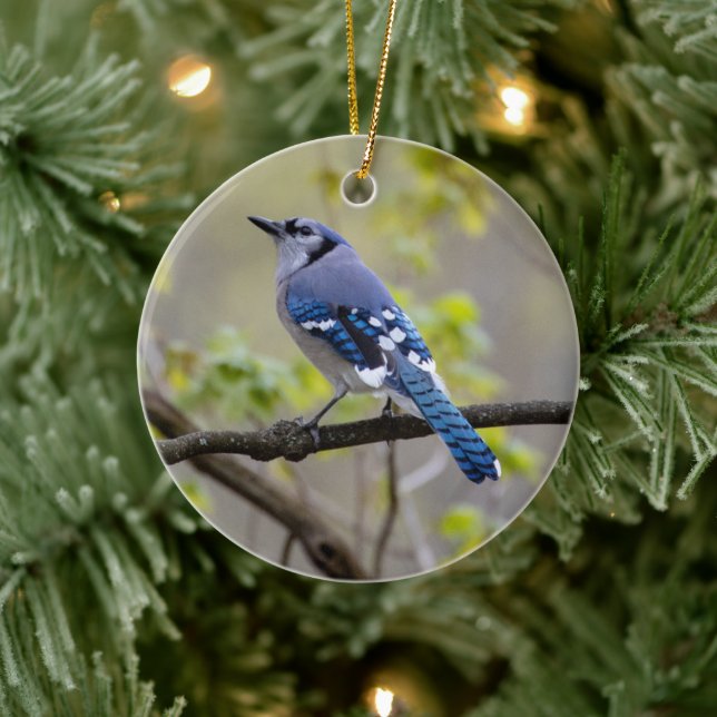 Blue Jay | Ceramic Ornament (Tree)