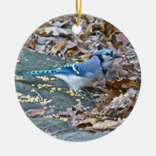 Blue Jay Christmas Ornament