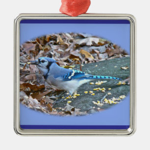 Blue Jay Christmas Ornament