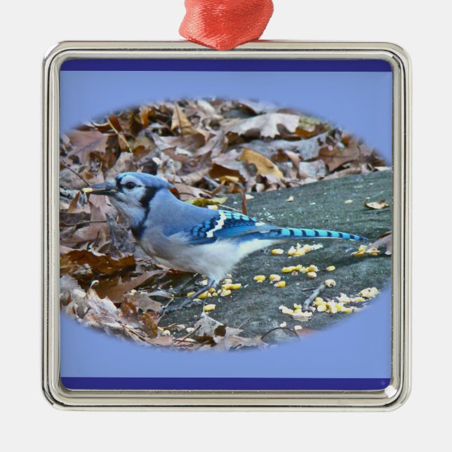 Blue Jay Christmas Ornament (Front)