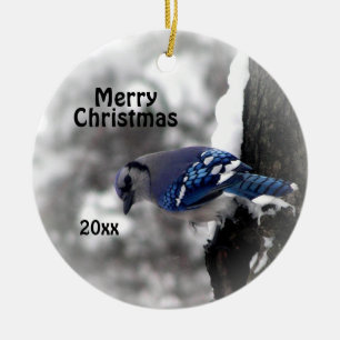 Blue Jay Christmas Ornament Merry Christmas Year
