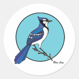 BLUE JAY CLASSIC ROUND STICKER