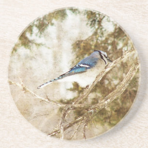 Blue Jay Coaster