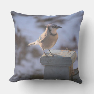 Blue Jay Cushion