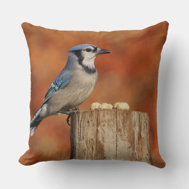 Blue Jay Cushion (Front)