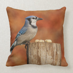 Blue Jay Cushion