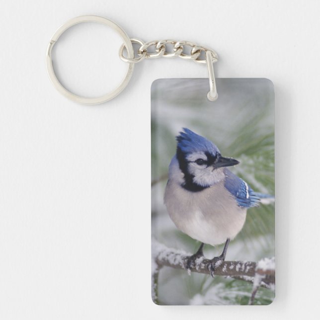 Blue Jay, Cyanocitta cristata Key Ring (Front)