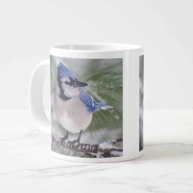 Blue Jay, Cyanocitta cristata Large Coffee Mug (Front Left)