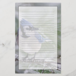 Blue Jay, Cyanocitta cristata Stationery