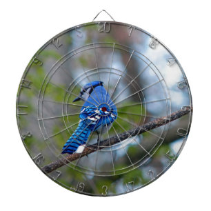 Blue Jay Dartboard