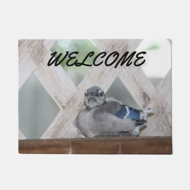 Blue Jay Doormat (Front)