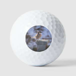 Blue Jay Golf Balls