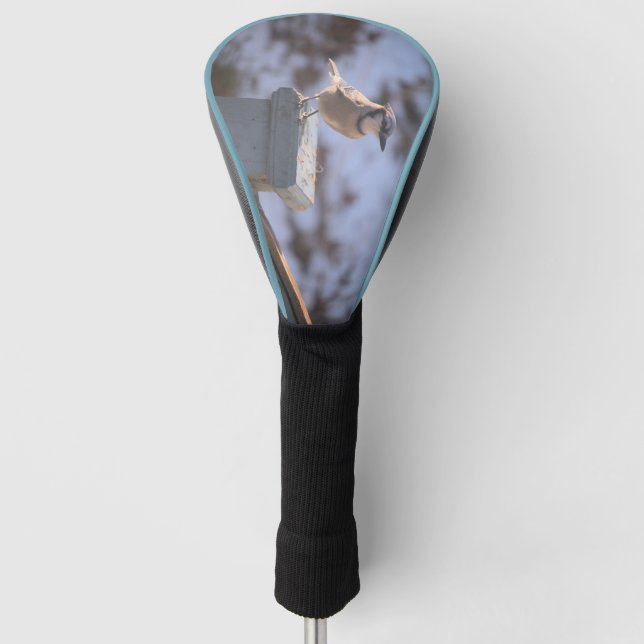 Blue Jay Golf Head Cover (Front)