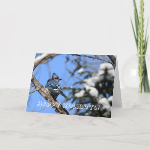 Blue Jay Holiday Greeting Card