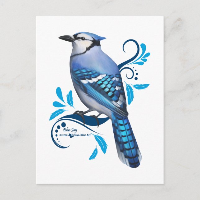 Blue Jay Holiday Postcard (Front)