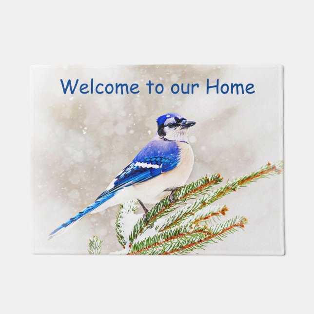 Blue jay in a pine tree with snow doormat (Front)