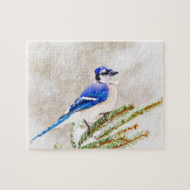 Blue jay in a pine tree with snow jigsaw puzzle (Horizontal)