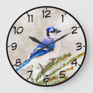 Blue jay in a pine tree with snow large clock