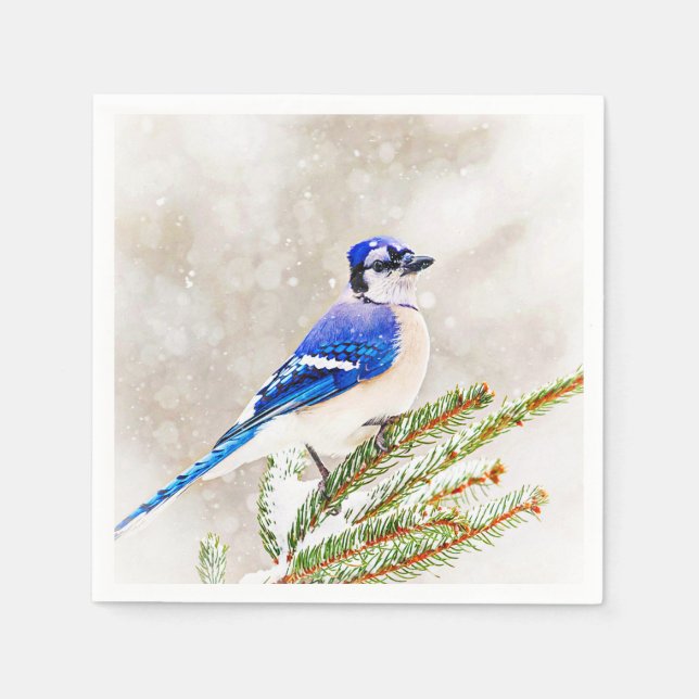 Blue jay in a pine tree with snow napkin (Front)