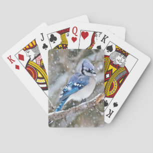 Blue Jay in a Snowstorm Playing Cards
