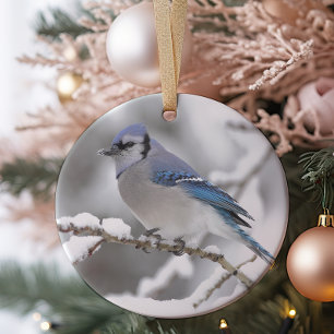 Blue Jay in Algonquin Park Ceramic Tree Decoration