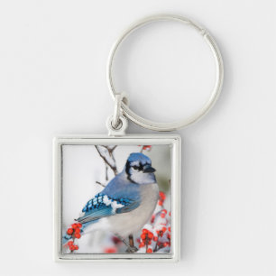 Blue Jay in Common Winterberry Key Ring