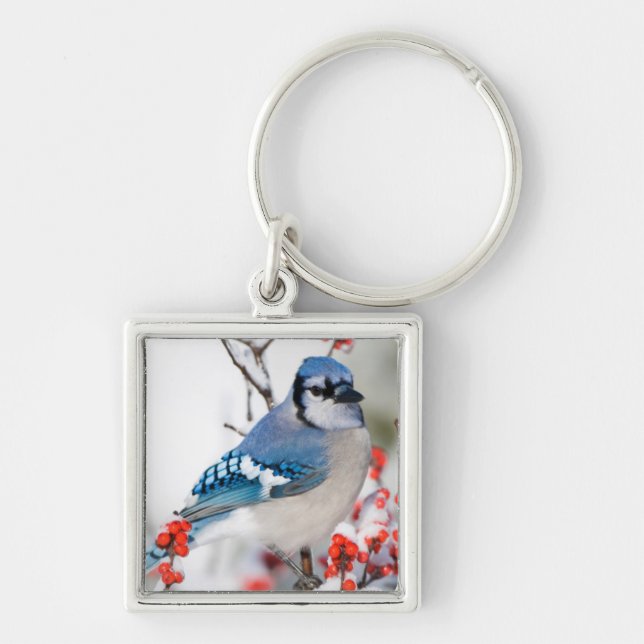 Blue Jay in Common Winterberry Key Ring (Front)