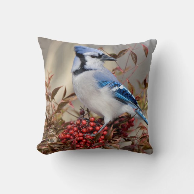 Blue Jay in Nandina Heavenly Bamboo Cushion (Front)