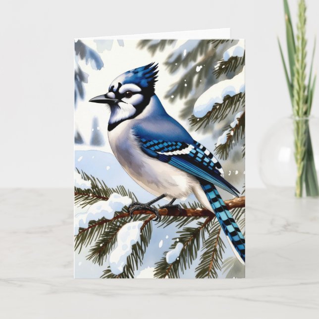Blue Jay in Snowy Pines Winter Greeting Card (Front)