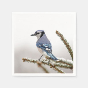 Blue Jay in Winter Napkin