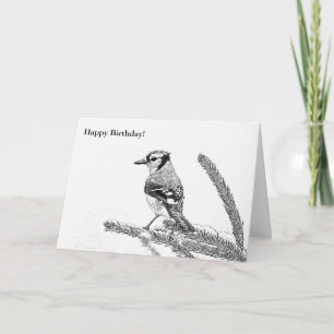 Blue Jay in Winter Sketch Birthday Card