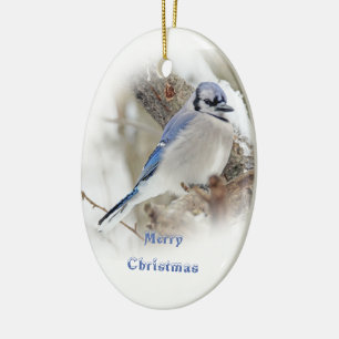 Blue Jay in Winter Snow Ceramic Tree Decoration