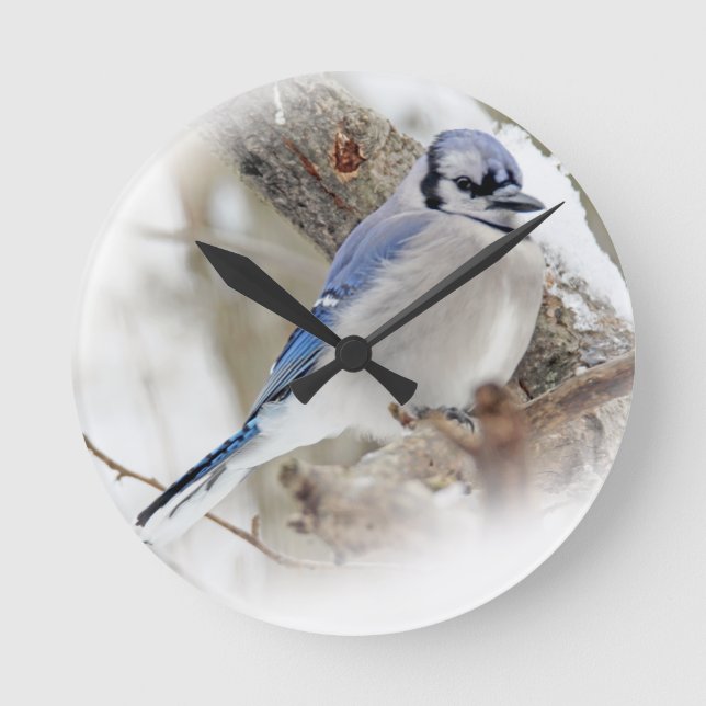 Blue Jay in Winter Snow Round Clock (Front)